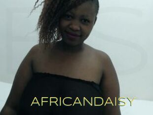 AFRICANDAISY