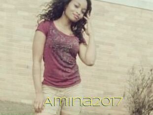 Amina2017