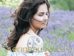 Aerinbaudelaire