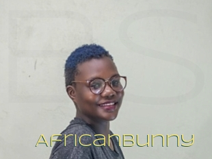 Africanbunny