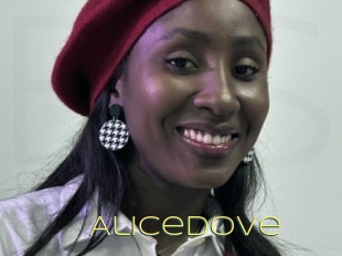 Alicedove