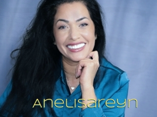 Anelisareyn