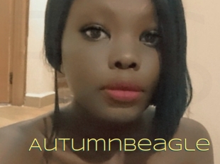 Autumnbeagle