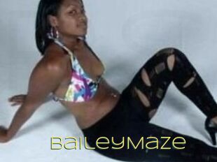 Bailey_Maze
