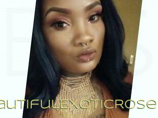BeautifulExoticRose