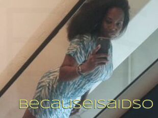 BecauseISaidSo