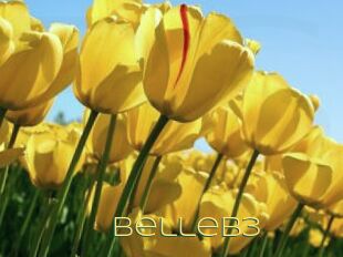 BelleB3