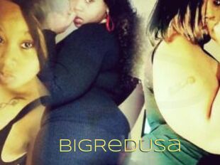 BigRedUsa
