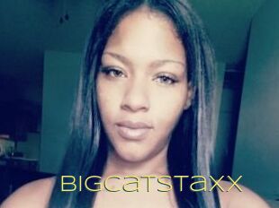 Bigcatstaxx