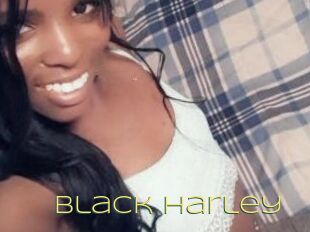 Black_Harley