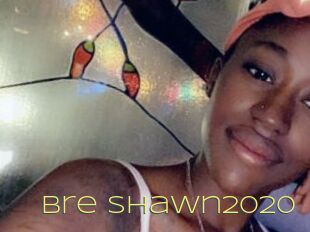 Bre_Shawn2020