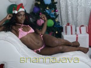 BriannaJava
