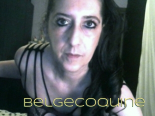 Belgecoquine