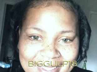 Biggulp18
