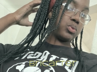 Bricarter