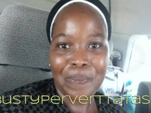 Bustyperverttatas