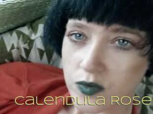 Calendula_Rose