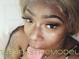 ChynaBanksTheModel