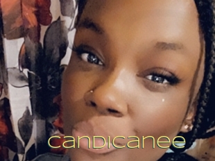 Candicanee