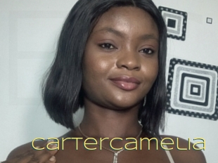Cartercamelia