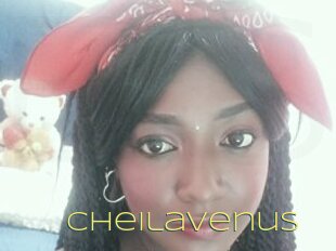 Cheilavenus