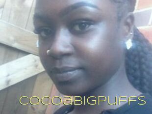 Cocoabigpuffs