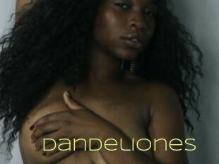 Dandeliones