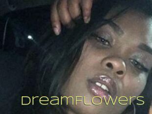 DreamFlowers