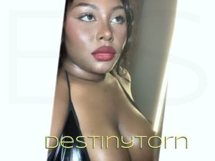 Destinytorn