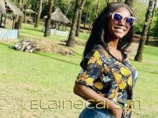 Elainecarsim