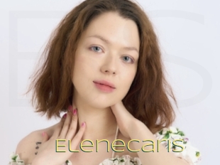 Elenecaris
