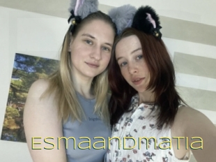Esmaandmatia