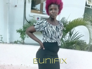 Eunifix