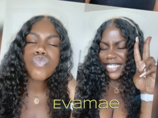 Evamae