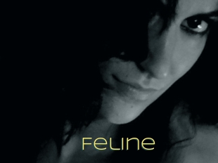 Feline
