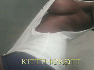 Kitt_The_Katt