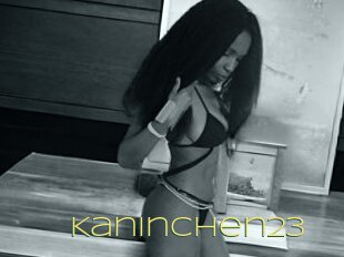 Kaninchen23