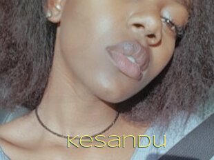 Kesandu