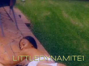LITTLEDYNAMITE1