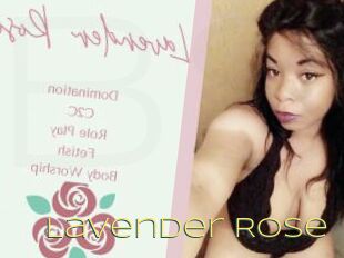 Lavender_Rose