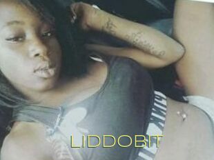 LiddoBit