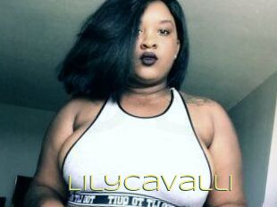 Lily_Cavalli