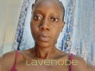 Lavenode