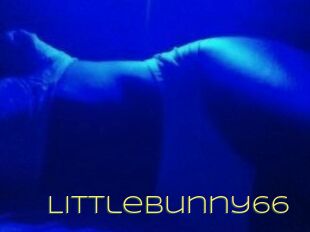 Littlebunny66