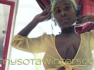 Minnysotawinter500