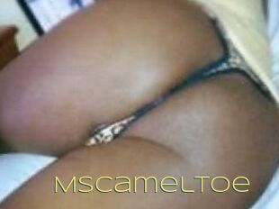 MsCamelToe