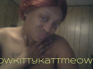 Meowkittykattmeow