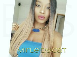 Mirleidycat