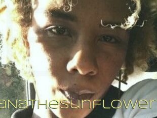 NaNaTheSunflower