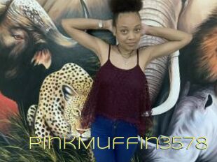 PinkMuffin3578
